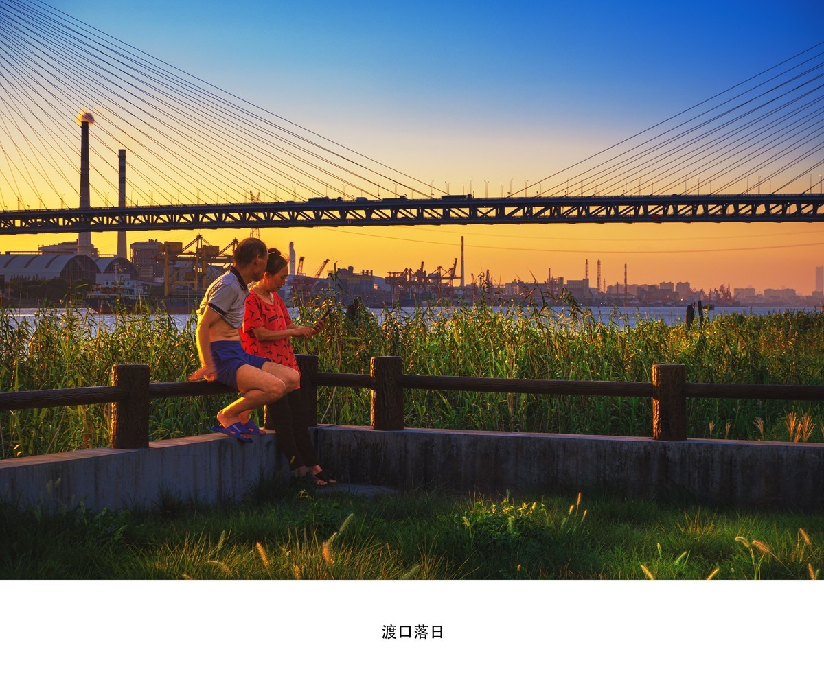 杜行渡口落日时分