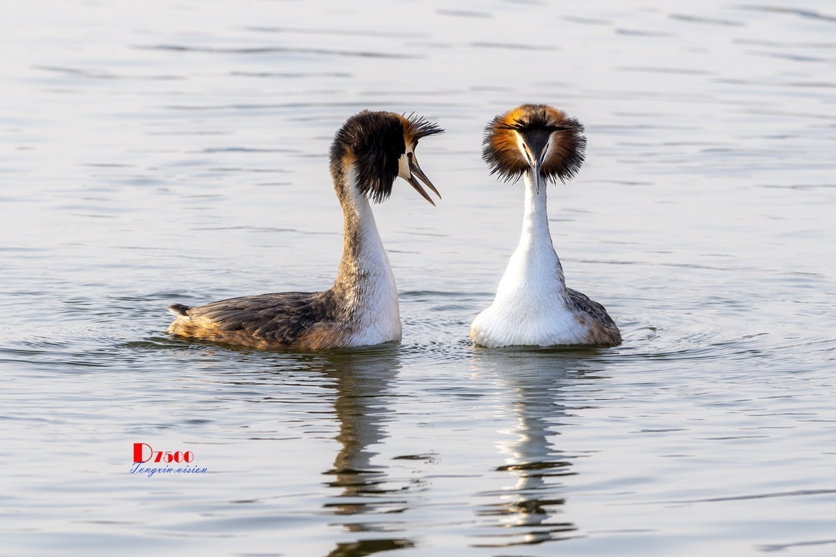 小五星空(中国)祝大家元旦佳节快乐！同时奉上十二月精华！