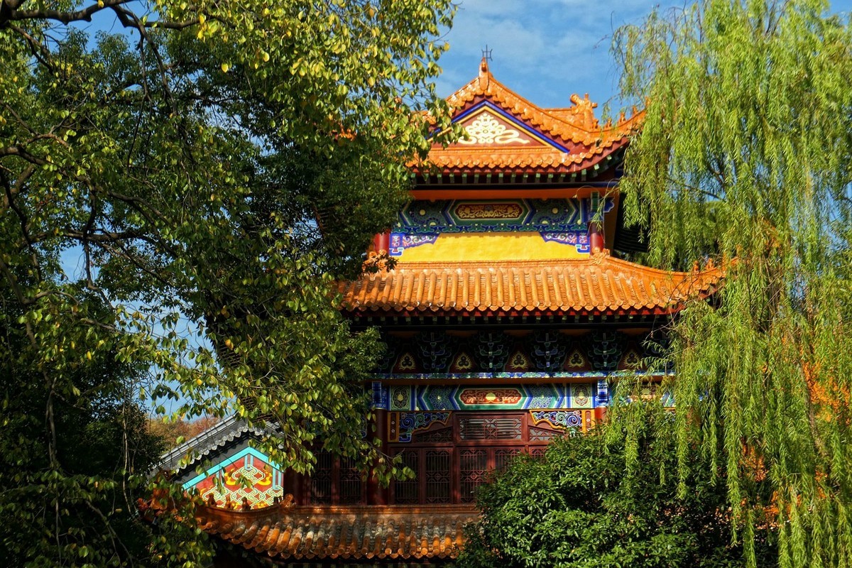 宝通寺银杏还是绿油油-中关村在线摄影论坛
