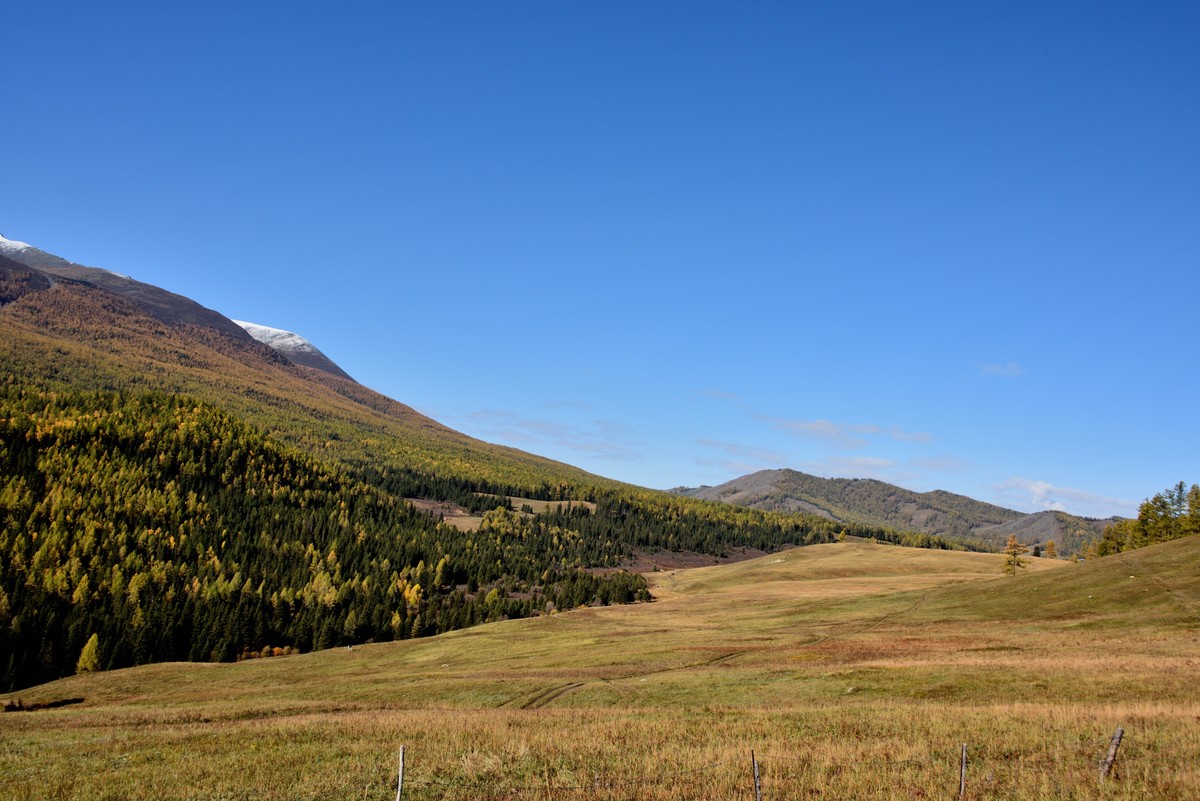 #留住美丽秋天# ——金色喀纳斯【1】