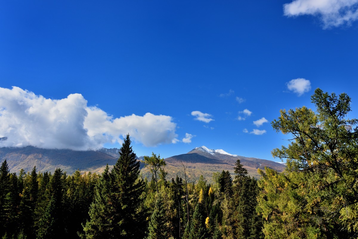 #留住美丽秋天# ——金色喀纳斯【1】