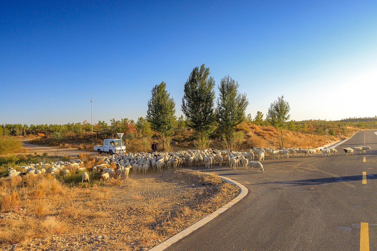 旅游记录：内蒙古 · 鄂尔多斯 · 银肯塔拉沙漠