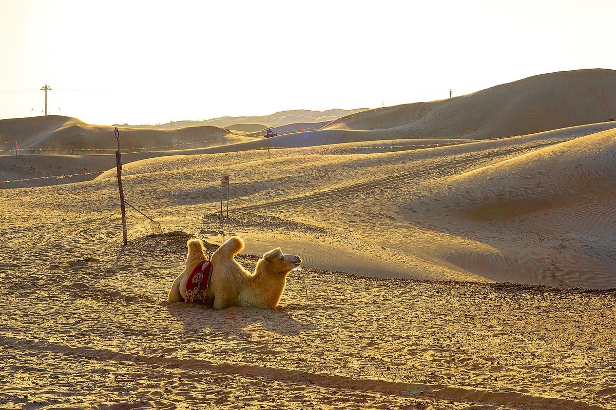 旅游记录：内蒙古 · 鄂尔多斯 · 银肯塔拉沙漠