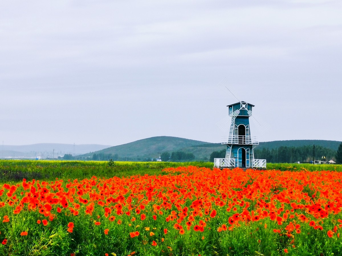 京北草原大汗行宫【今日惊蛰】