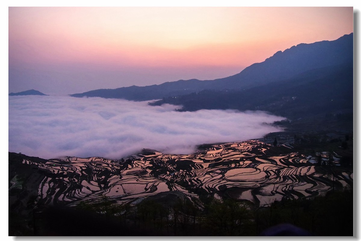 云南之旅——元阳多依树梯田