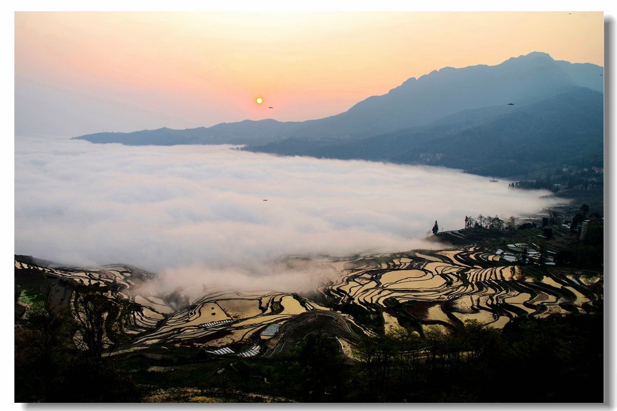 云南之旅——元阳多依树梯田