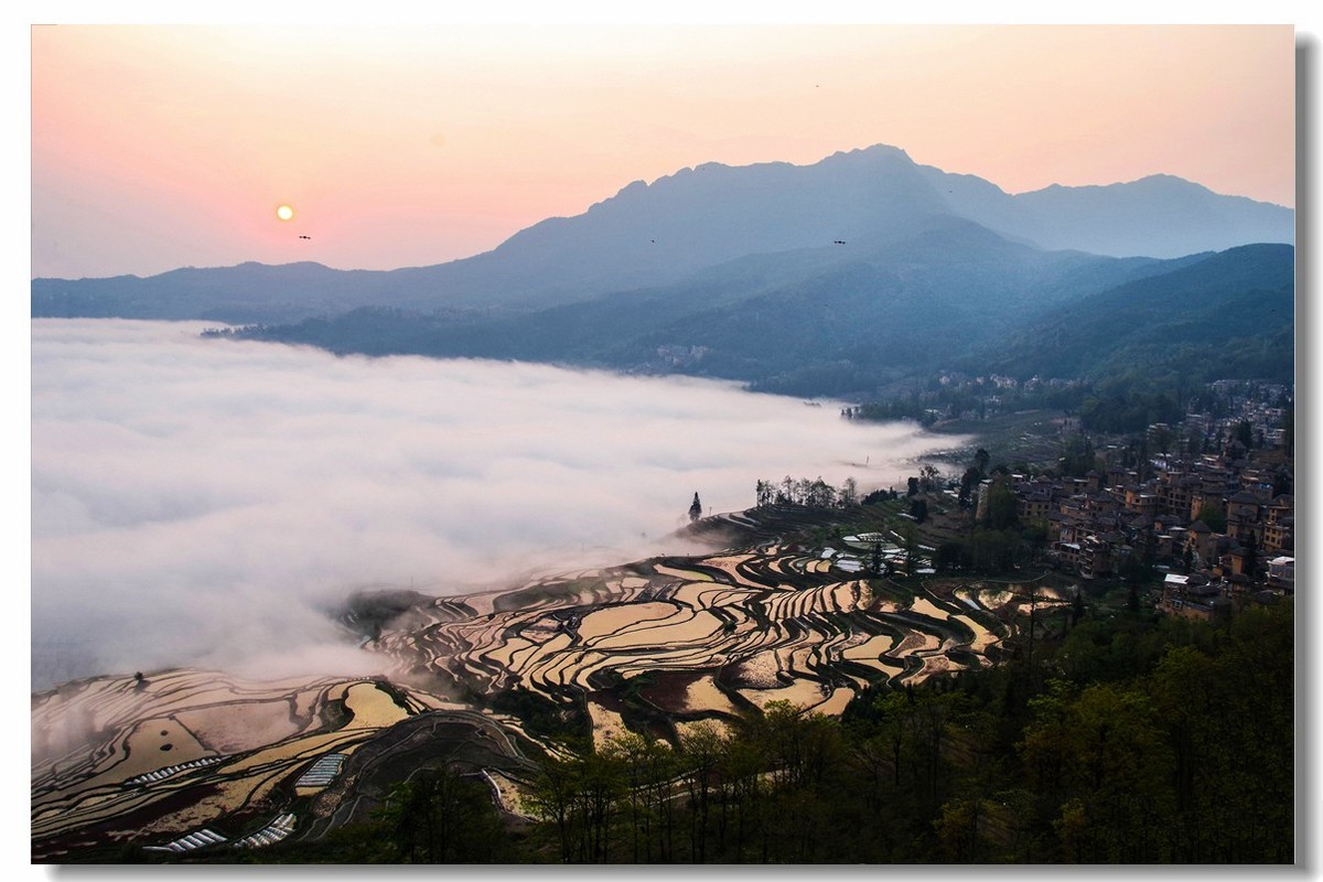 云南之旅——元阳多依树梯田