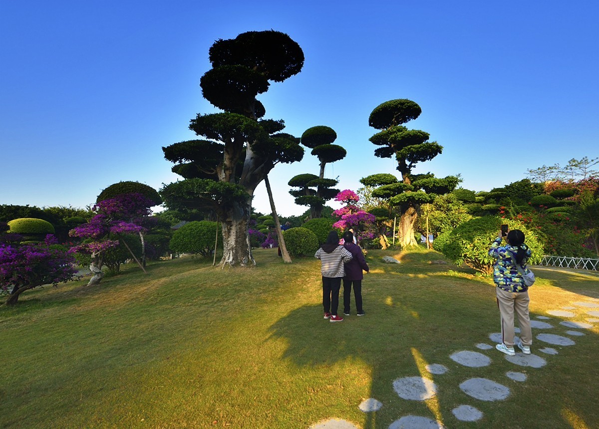 南宁南湖公园名树博览园