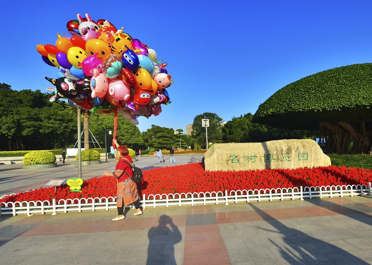 南宁南湖公园名树博览园