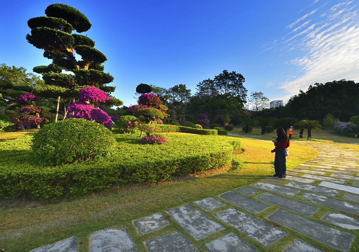 南宁南湖公园名树博览园