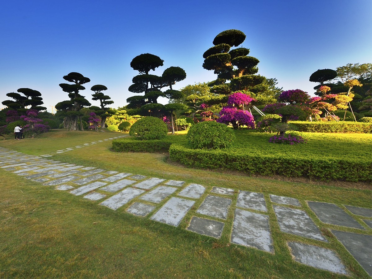 南宁南湖公园名树博览园