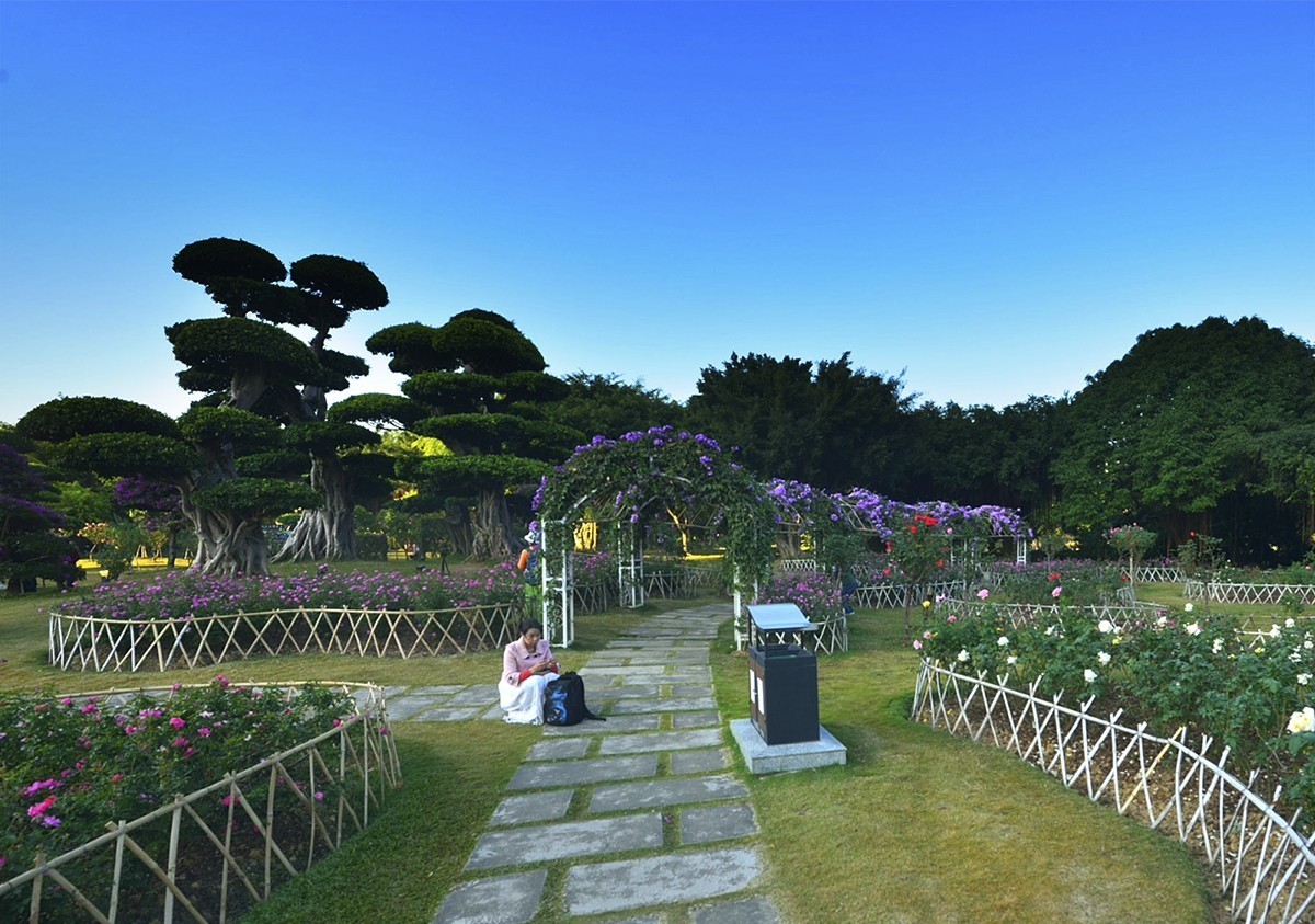 南宁南湖公园名树博览园