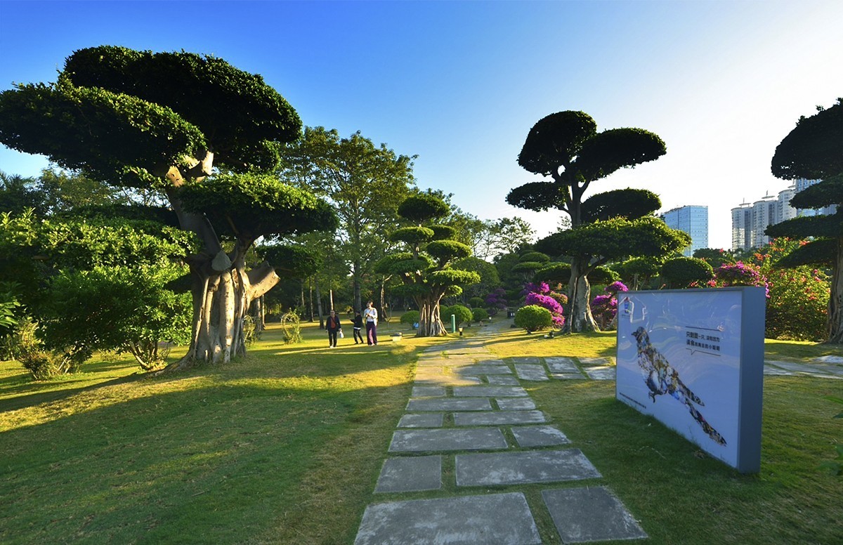 南宁南湖公园名树博览园