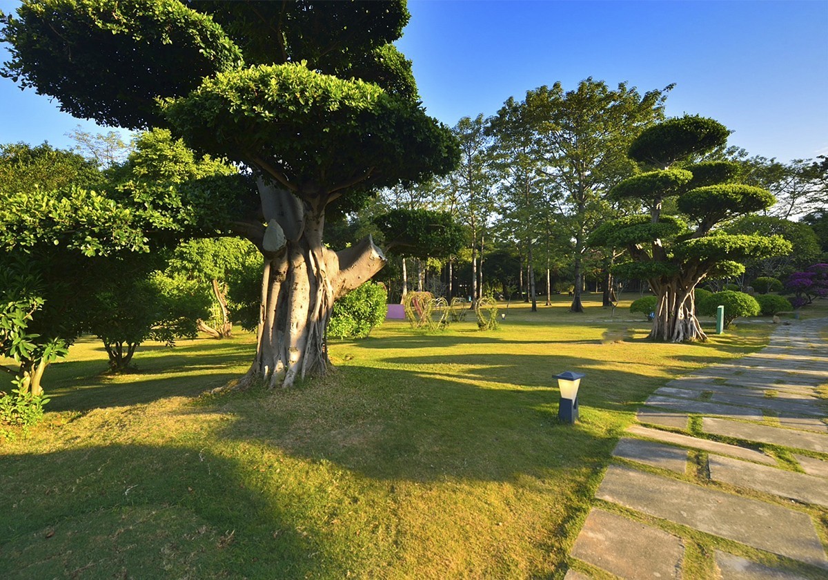 南宁南湖公园名树博览园