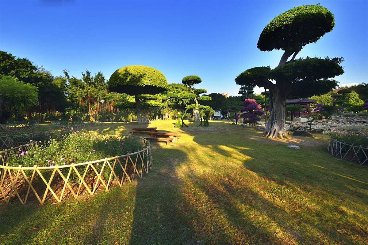 南宁南湖公园名树博览园