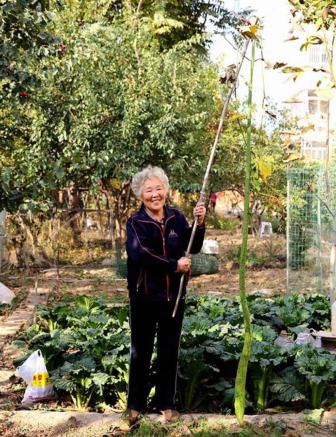 《不老松：纪实摄影》大美沧州系列報道：新年伊始，发组特殊片：丝瓜王！
