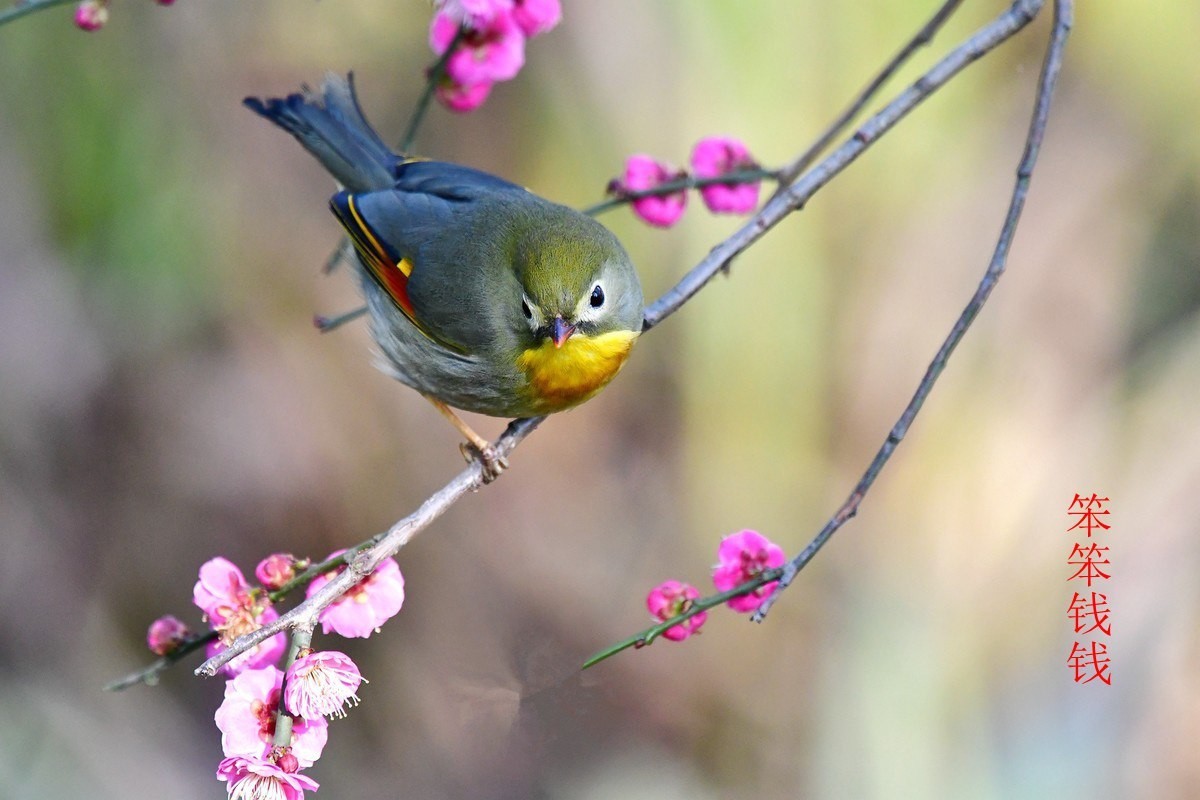 24年9-12月精华展示贴