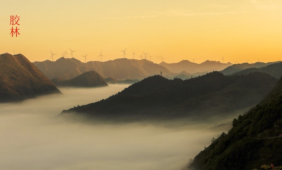 24年9-12月精华展示贴