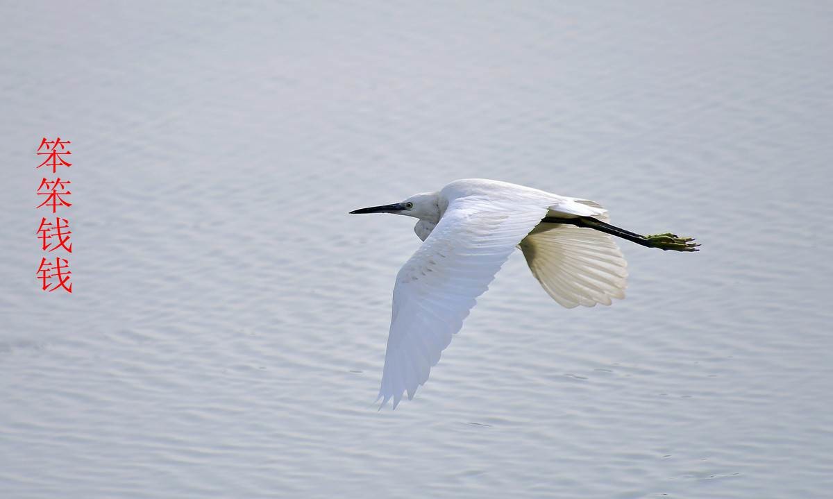 24年9-12月精华展示贴