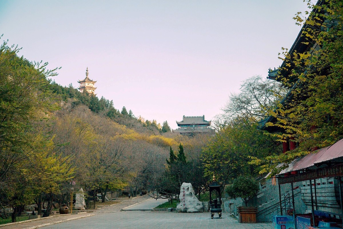 古寺银杏相映成趣