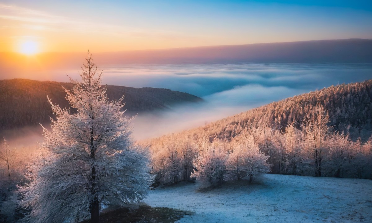 视觉与心灵的双重盛宴