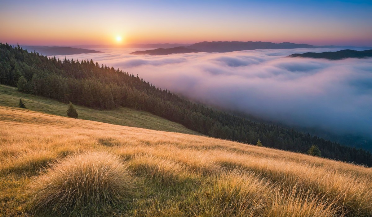 视觉与心灵的双重盛宴