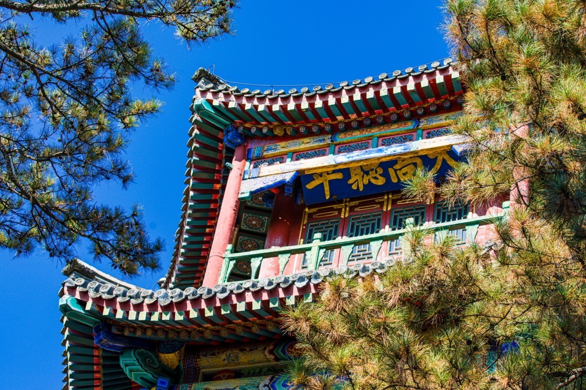 外出随拍（续344）.