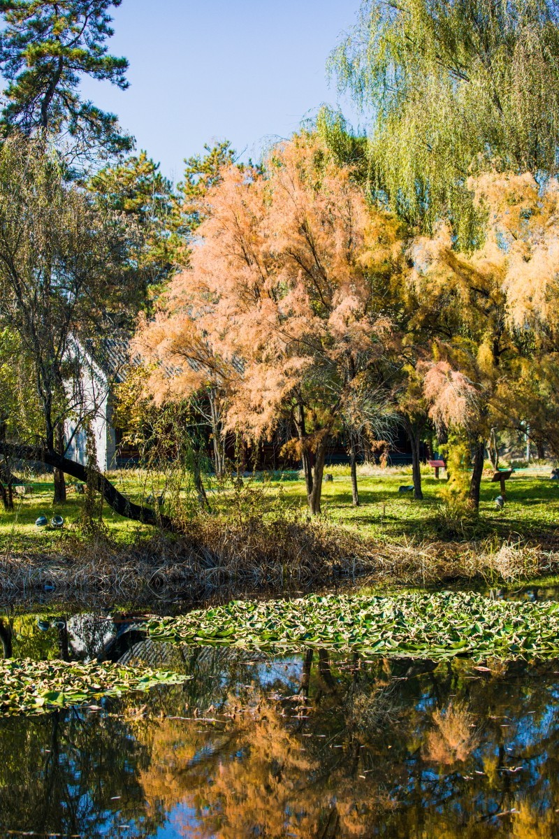 外出随拍（续344）.