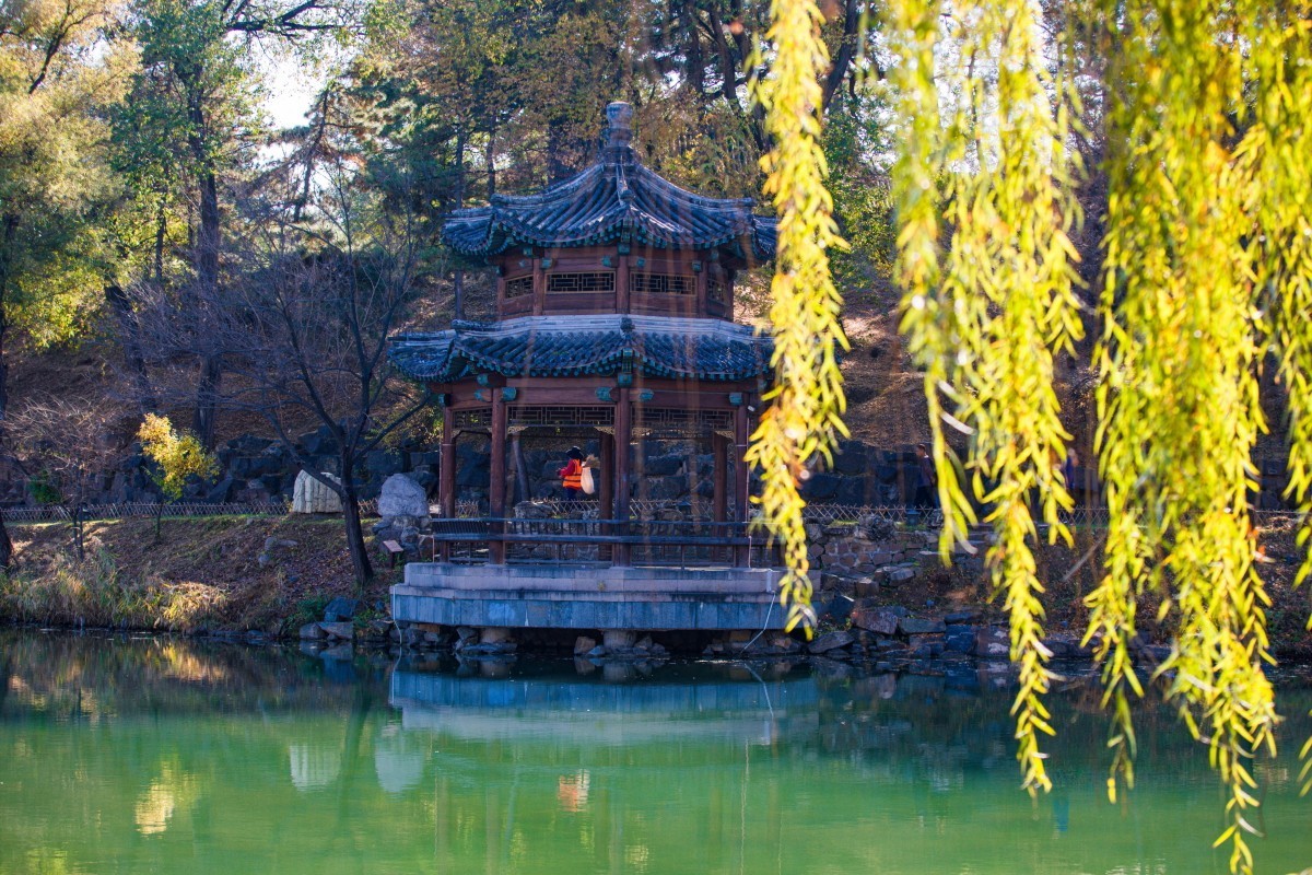 外出随拍（续344）.