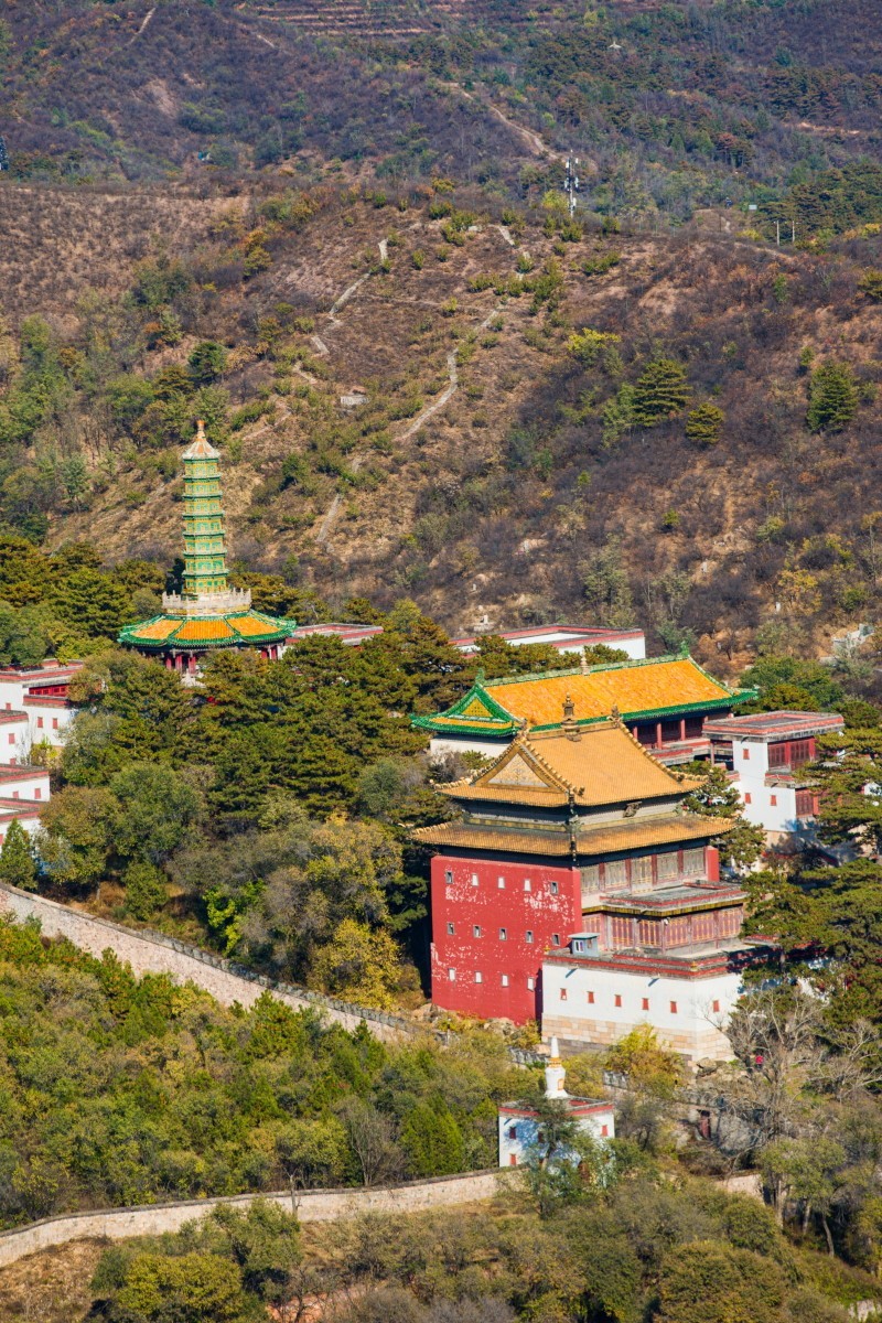 外出随拍（续345）.