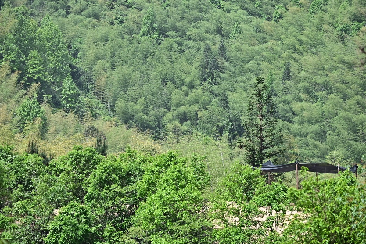 施虐沙尘暴，山峦叠嶂朦胧胧