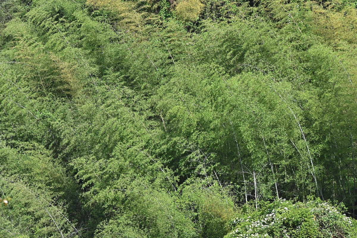 施虐沙尘暴，山峦叠嶂朦胧胧