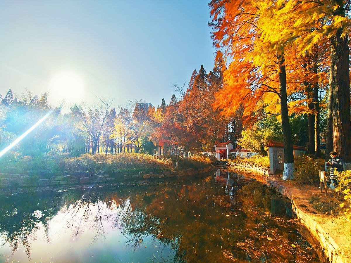 武汉青山公园29