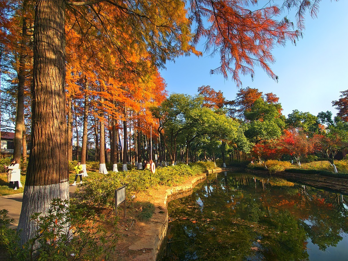 武汉青山公园29