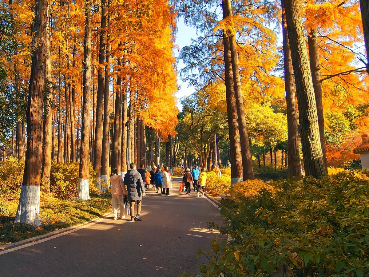 武汉青山公园29