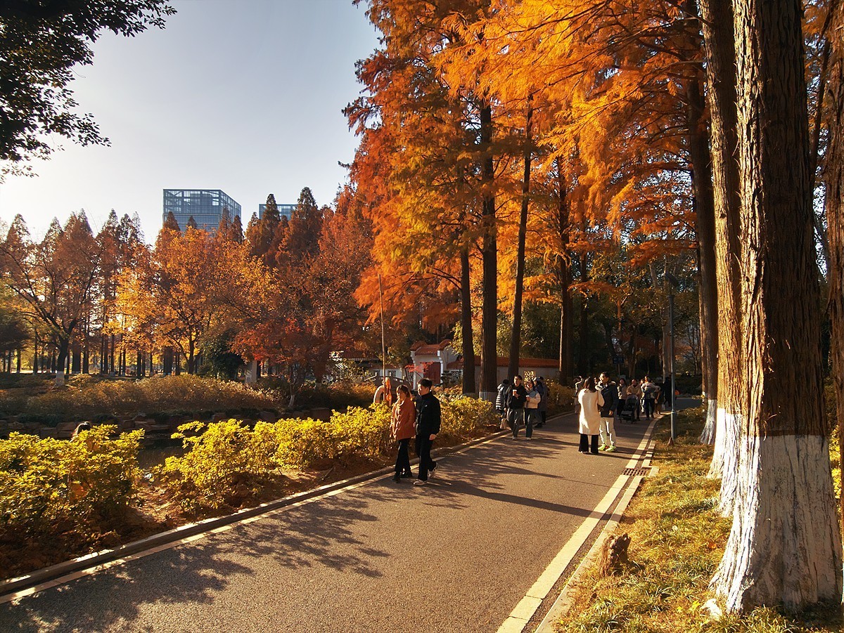 武汉青山公园29