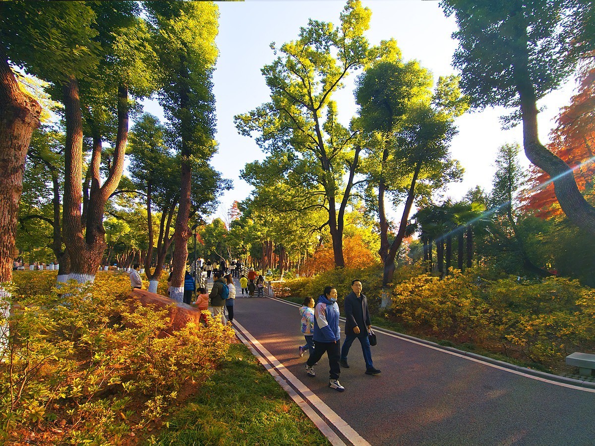 武汉青山公园29