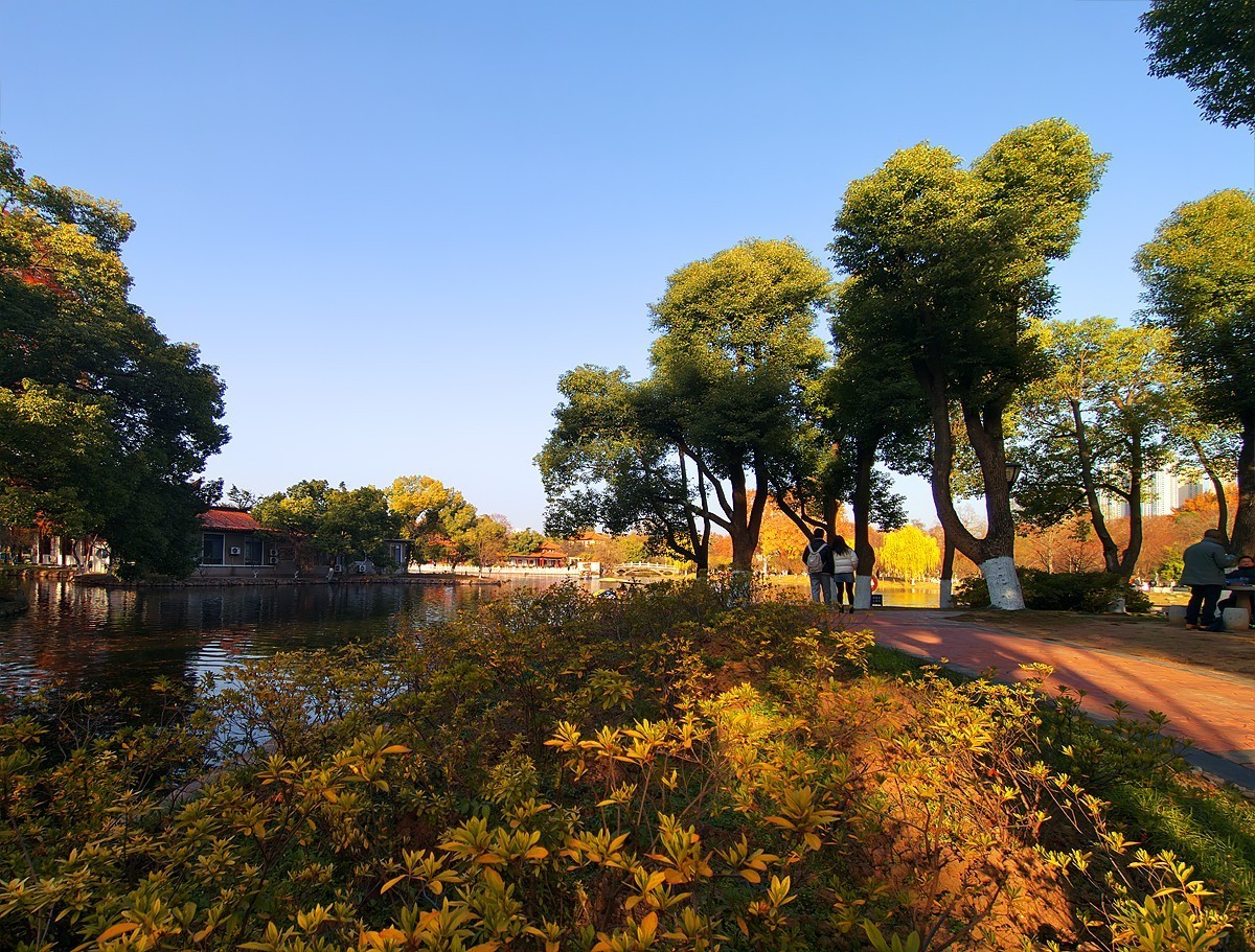 武汉青山公园29