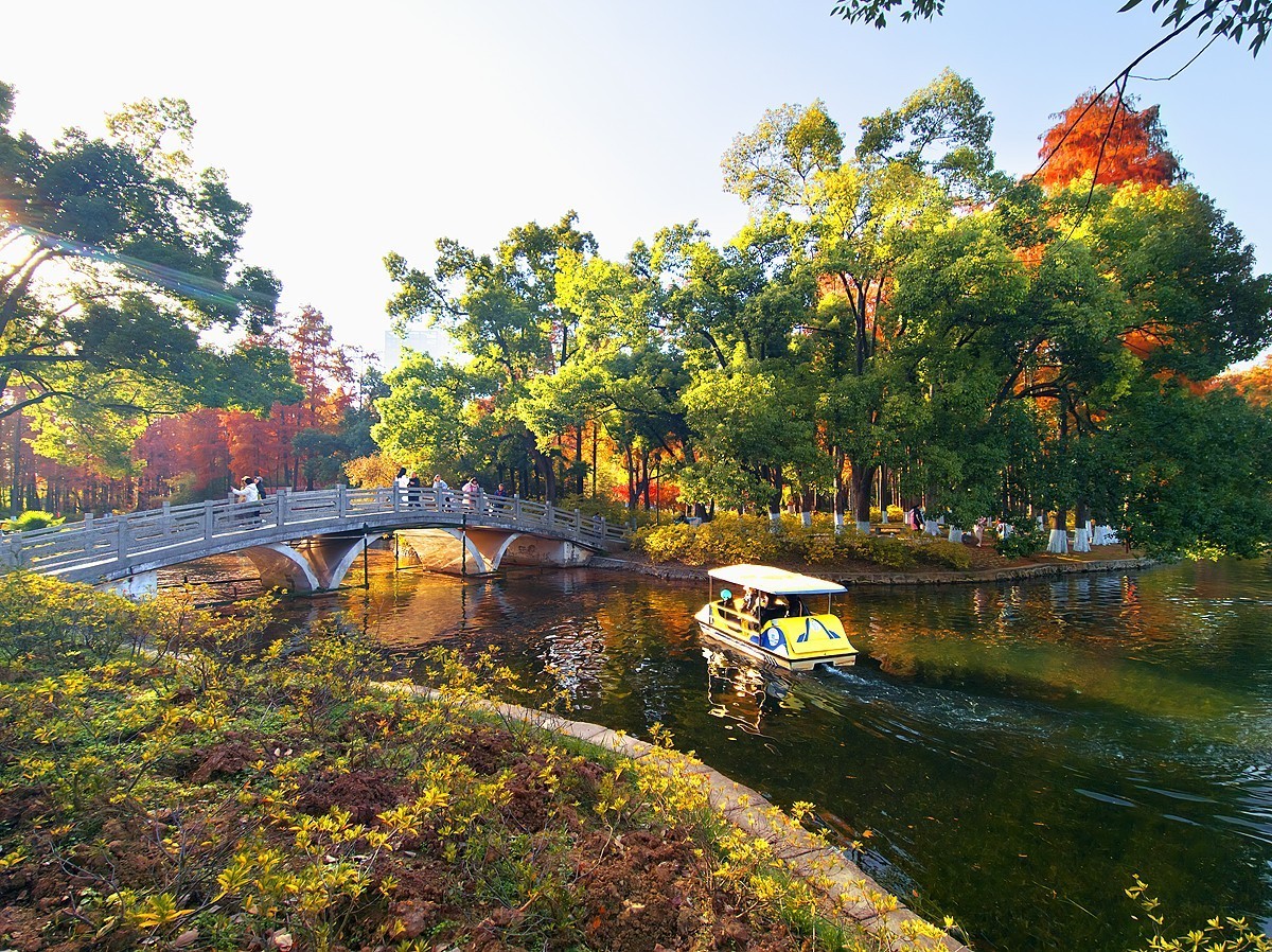 武汉青山公园29