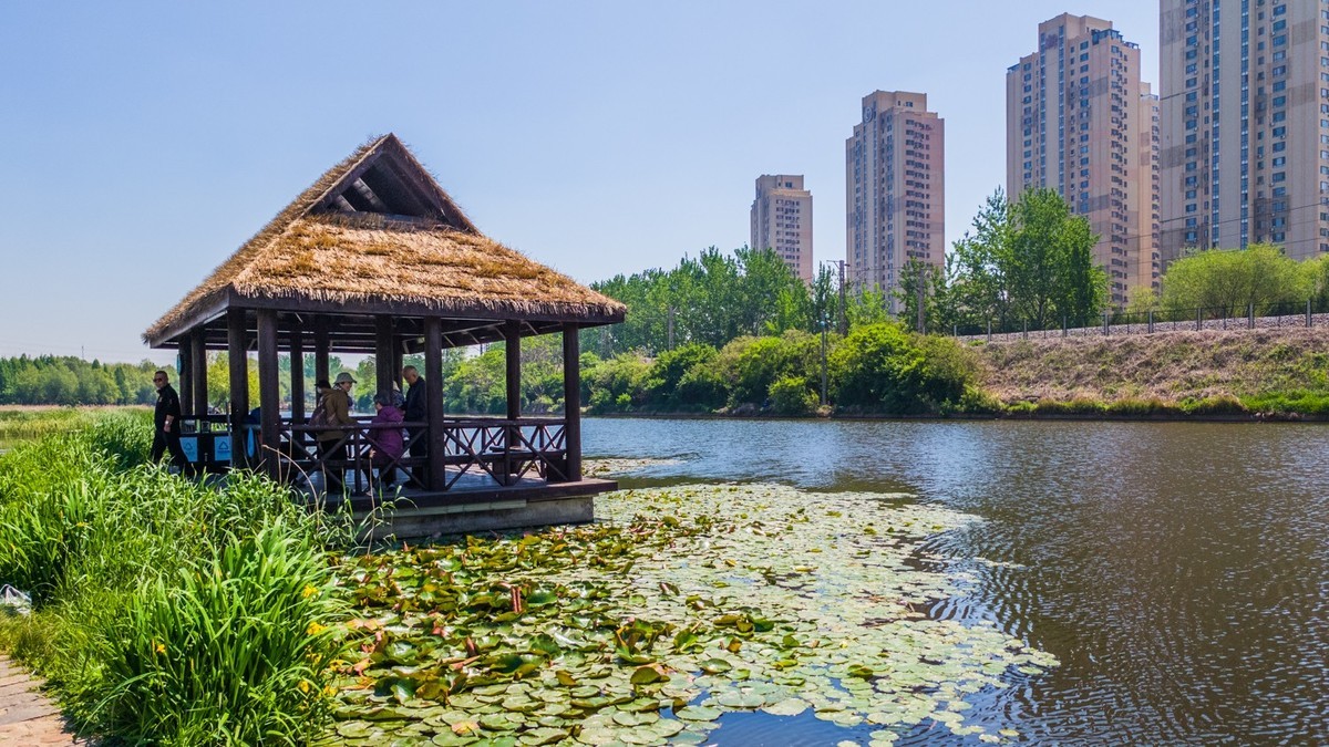 大 连 前 关 湿 地 （ 五 ）