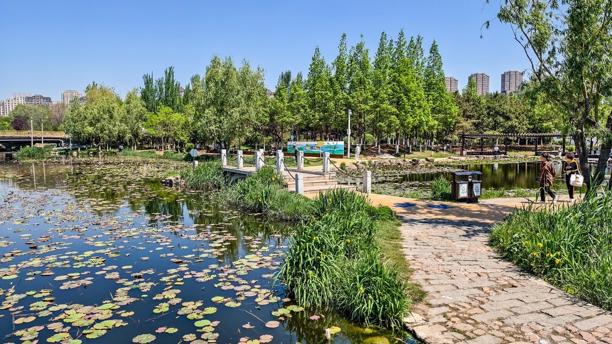 大 连 前 关 湿 地 （ 五 ）