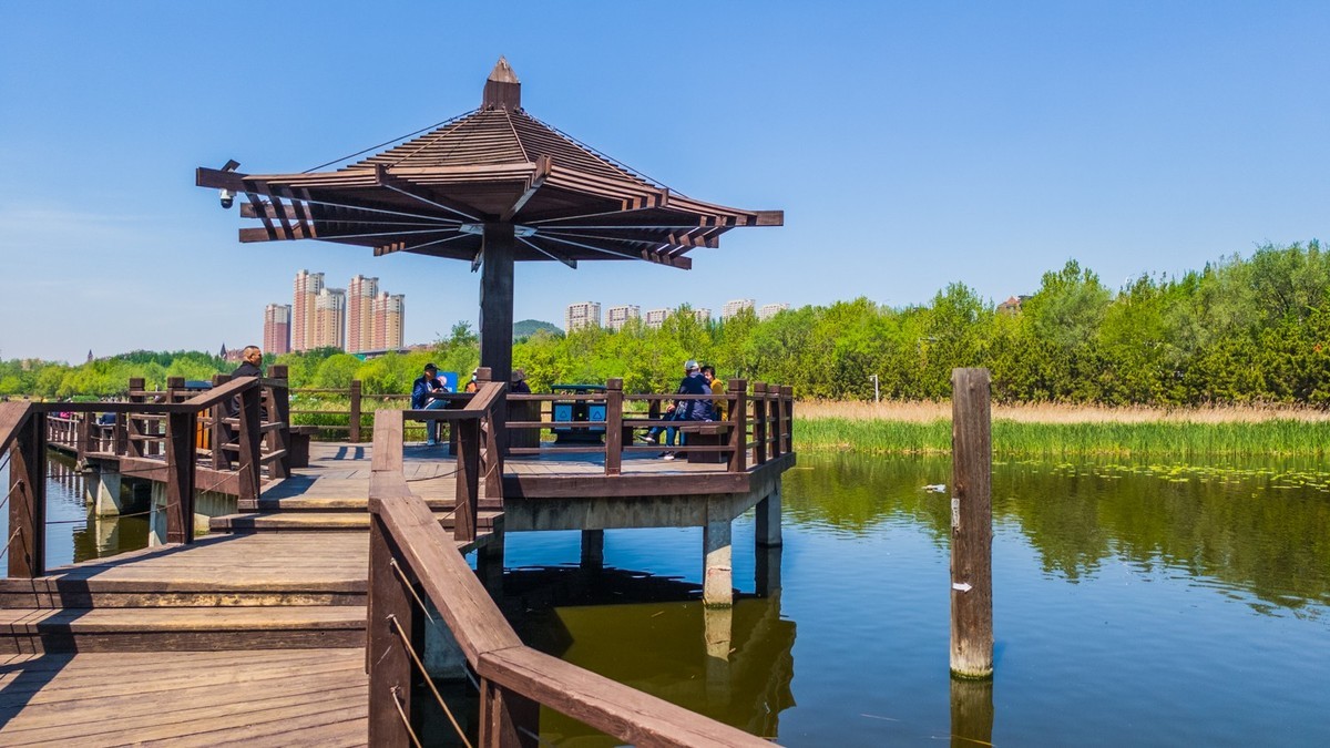 大 连 前 关 湿 地 （ 五 ）