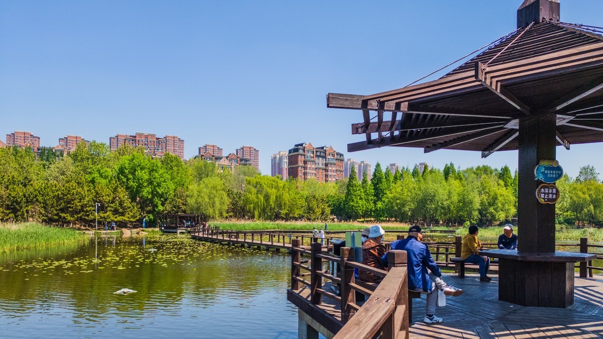 大 连 前 关 湿 地 （ 五 ）