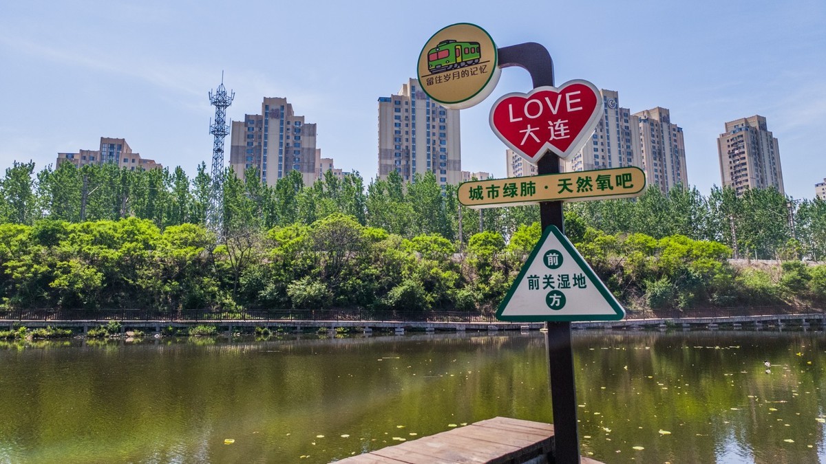 大 连 前 关 湿 地 （ 五 ）