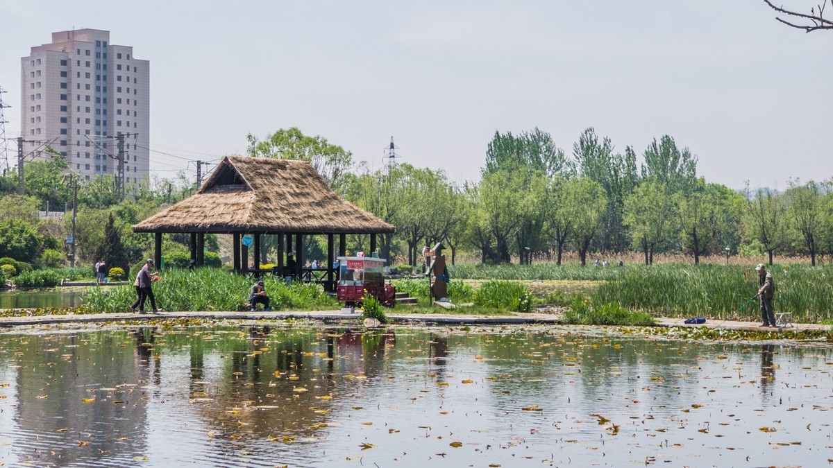 大 连 前 关 湿 地 （ 五 ）