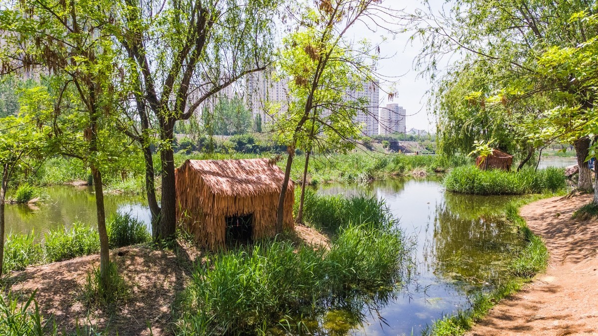 大 连 前 关 湿 地 （ 五 ）