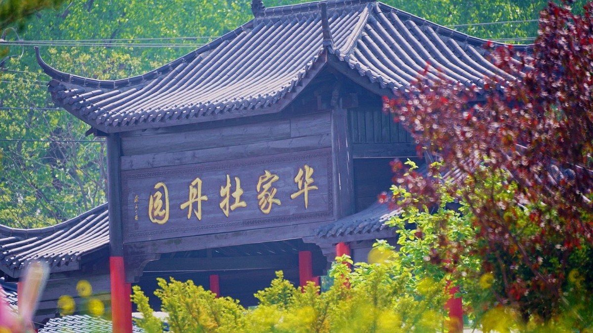 大 连 华 家 牡 丹 园 （ 三 ）