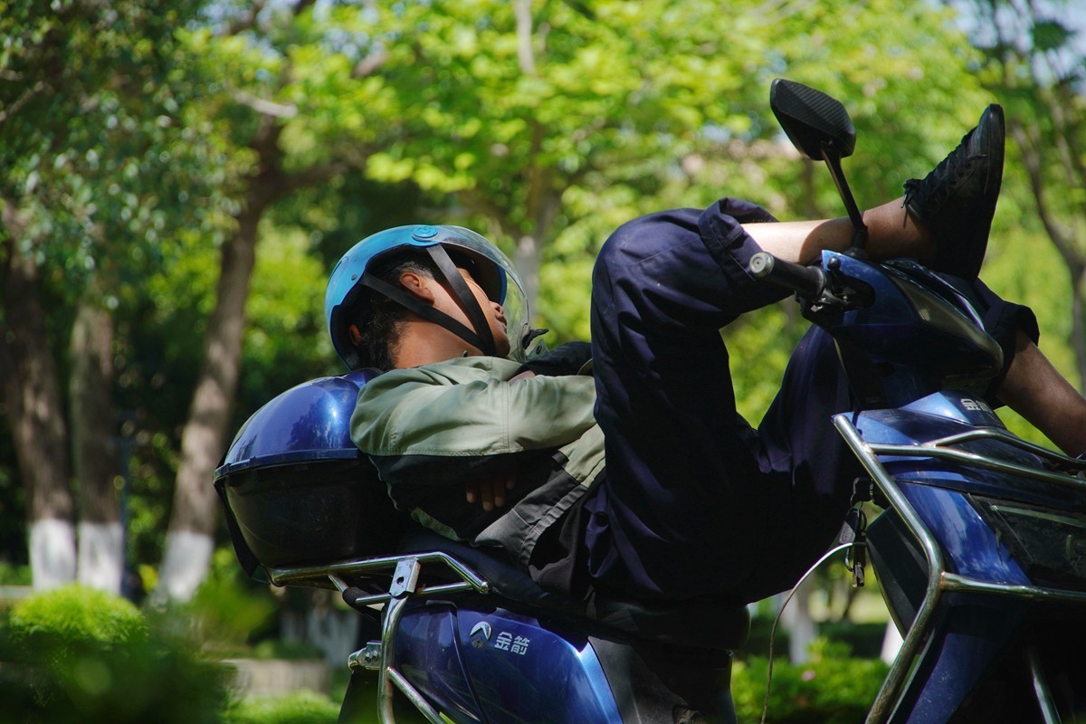 春日随拍之十五