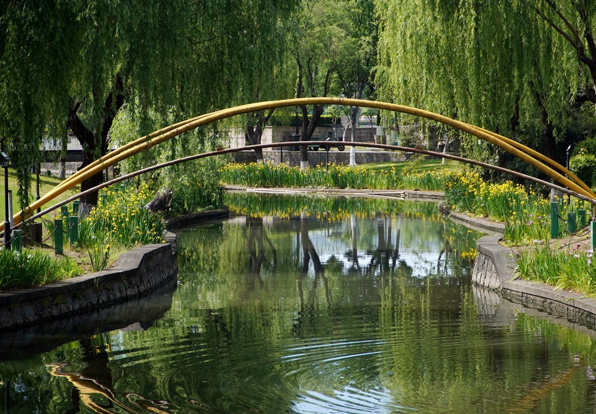 春日随拍之十五