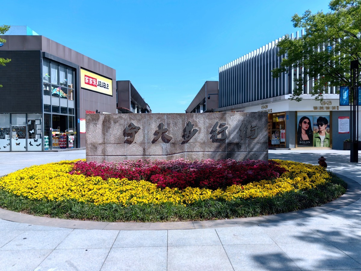 春日随拍之十五